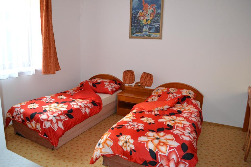 Levandule Brno Rom bilde